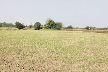 Plot Area in  Plot at Jasai – for Sale