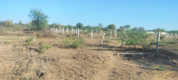 undefined, best-airport-villas  267 Sq.Yd. Plot In Shamshabad Hyderabad 8167562