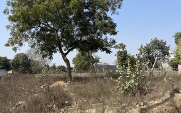 Plot For Sale in Knowledge Park V Greater Noida