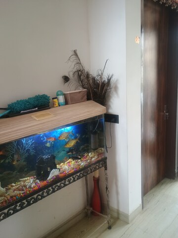 Furnished Amenities in 5 BHK Independent House at Gandhi Path – for Sale