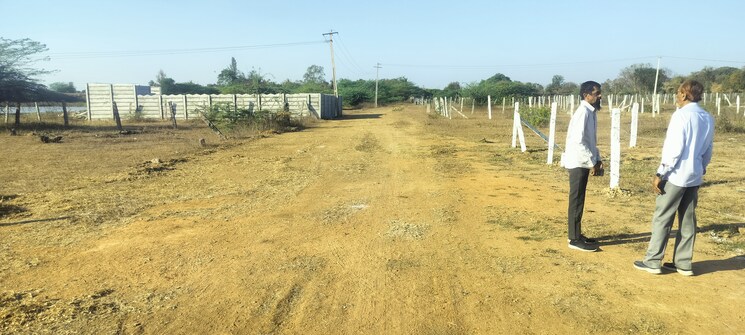 undefined, shamshabad  267 Sq.Yd. Plot In Shamshabad Hyderabad 8167657
