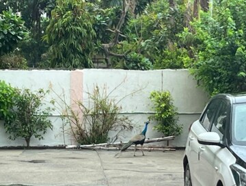3 BHK Apartment – Exterior View View at Pashupati Housing Society, Sector 48 - for Sale