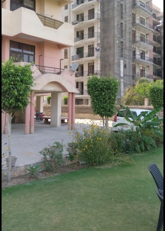 3 BHK Apartment For Resale in Pashupati Housing Society Sector 48 Faridabad  8167749