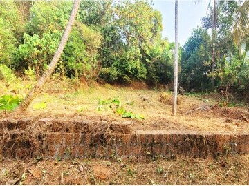 Plot For Resale in Payyanur Kannur  8167913