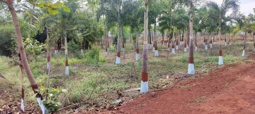 Plot Area in  Plot at Vikarabad – for Sale