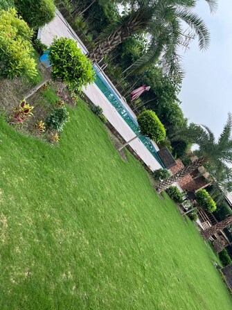 Plot For Resale in Anand Vihar Ghaziabad  8168164