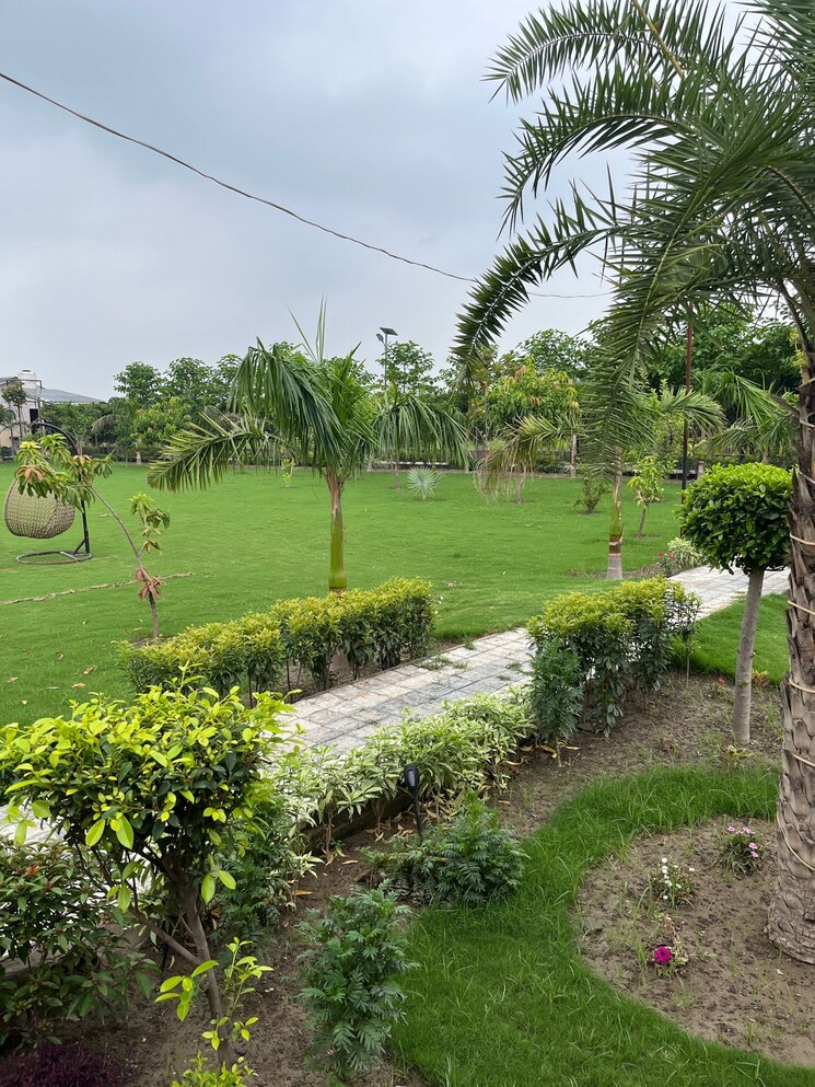 Garden, anand vihar  300 Sq.Yd. Plot In Anand Vihar Ghaziabad 8168164