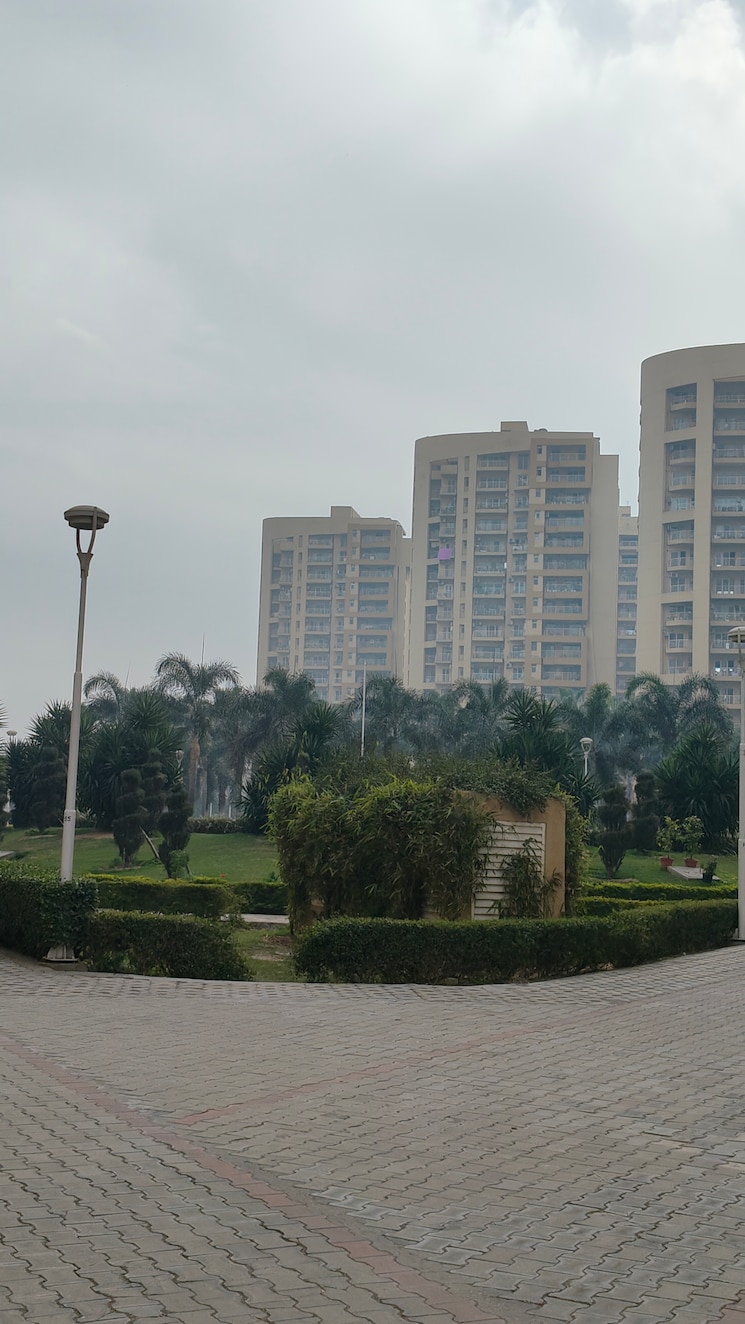 Exterior View, sector 20 3 Bedroom 1850 Sq.Ft. Independent House In Sector 20 Panchkula 8168582