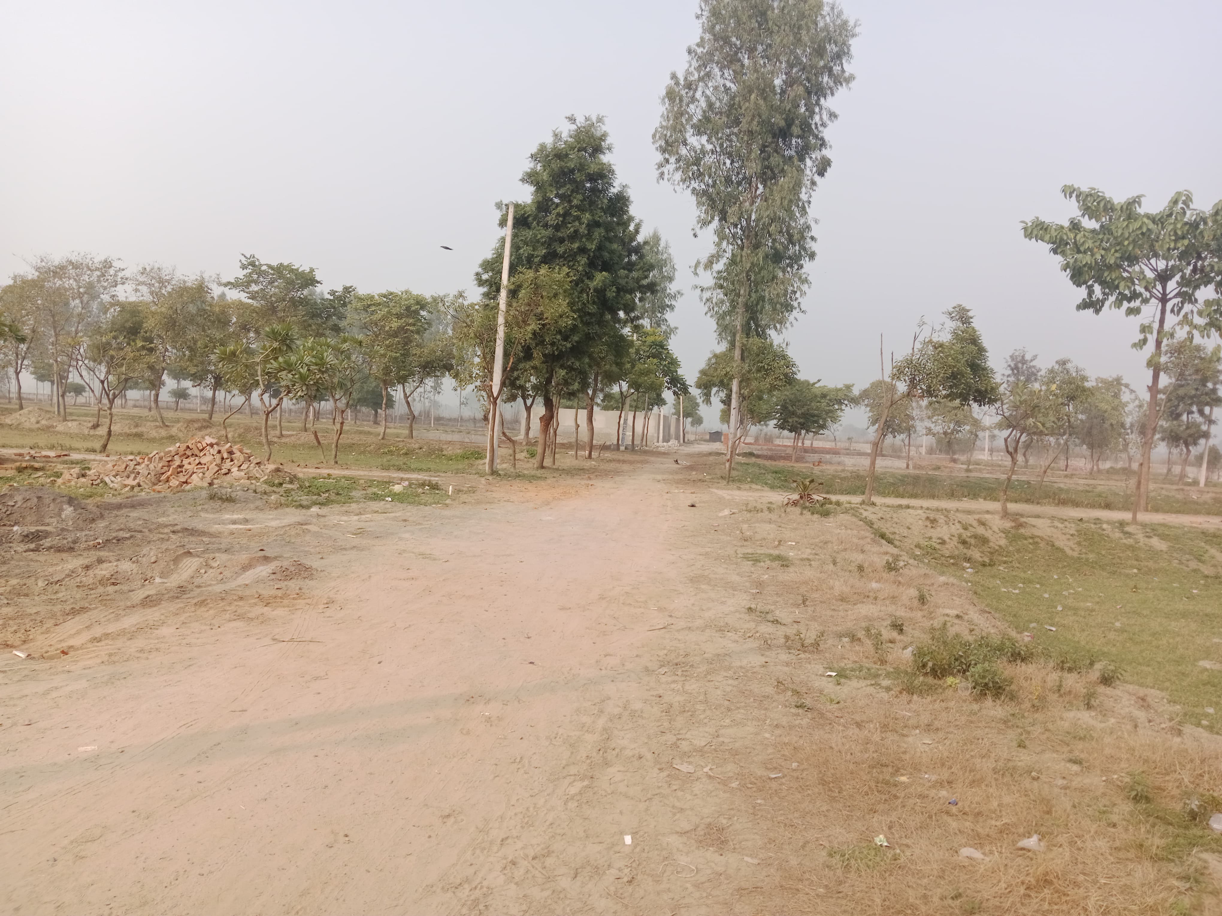 Plot For Sale in Mk Propty 