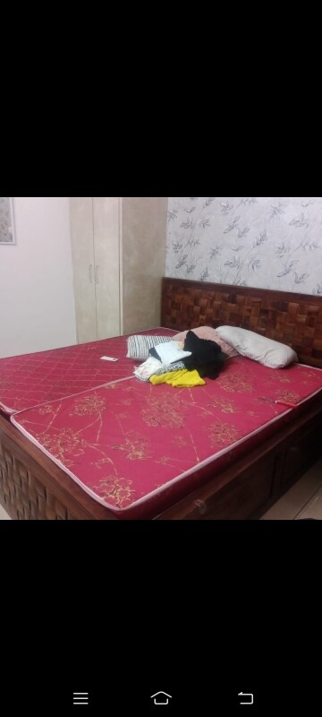 1 BHK Builder Floor For Rent in RWA Gyan Khand 3, Indrapuram