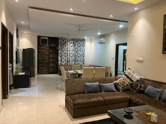 3 BHK Apartment For Rent in Siddhi The Aristo Shiprapath Jaipur  8169355