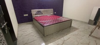 3 BHK Apartment For Rent in Siddhi The Aristo Shiprapath Jaipur  8169355