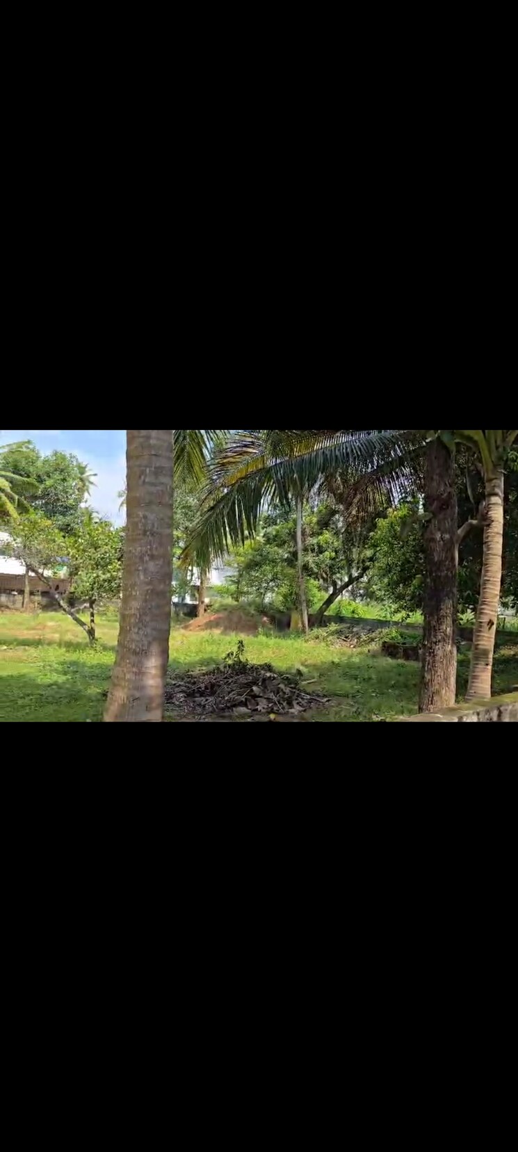 Garden, chacka  6070 Sq.Mt. Plot In Chacka Thiruvananthapuram 8169549