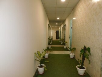 Commercial Office Space 250 Sq.Ft. For Rent in Sector 63 Noida  8167180