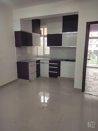 1 BHK Apartment For Rent in AVL 36 Gurgaon Sector 36 Gurgaon  8169604