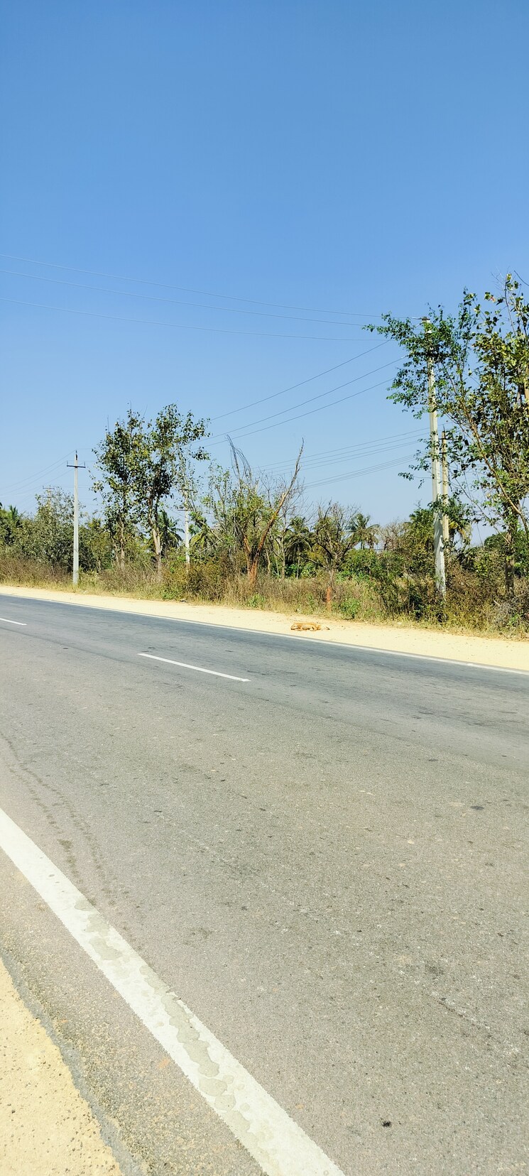 undefined, sompura-industrial  100 Acre Plot In Dobbaspet Bangalore 8169683