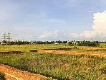 Plot Area in  Plot at Patrapada – for Sale