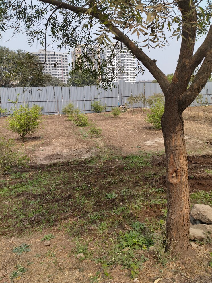 undefined, hinjewadi  13500 Sq.Ft. Plot In Hinjewadi Pune 8169921