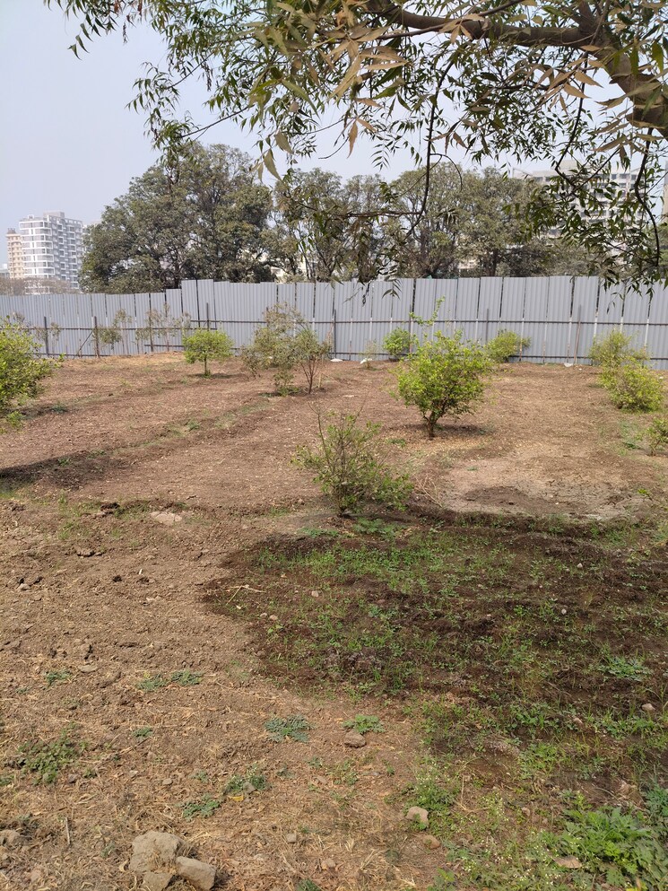 undefined, hinjewadi  13500 Sq.Ft. Plot In Hinjewadi Pune 8169921