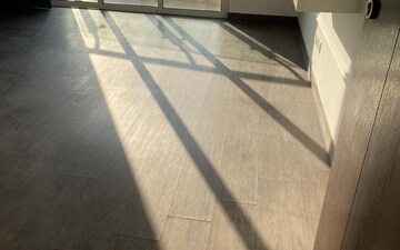 1 BHK Builder Floor For Rent in Sector 37
