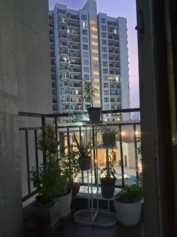 3.5 BHK Apartment For Rent in Emaar Palm Hills, Sector 77