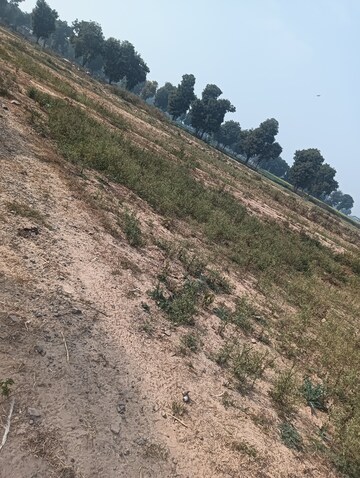 Plot Area in  Plot at Sohna Sector 3 – for Sale