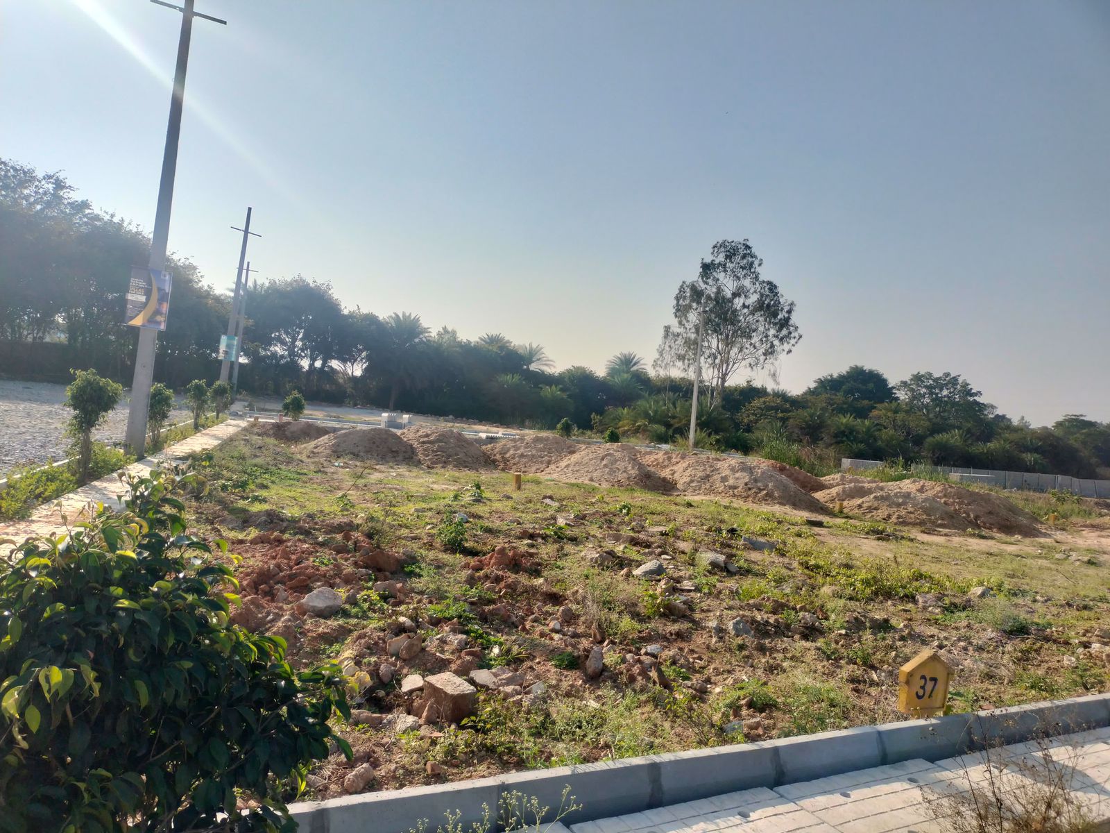 Plot For Sale in Pharma Green City