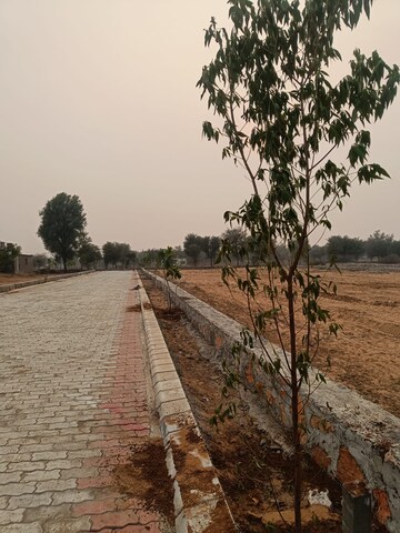 Plot For Resale in Kalwara Jaipur  8170360