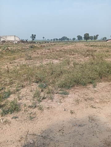 Plot Area in  Plot at Sohna Sector 13 – for Sale