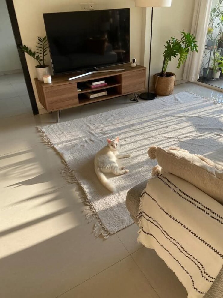 Bedroom, sai-siddhant-palace 1 Bedroom 428 Sq.Ft. Apartment In Nalasopara East Palghar 8170533