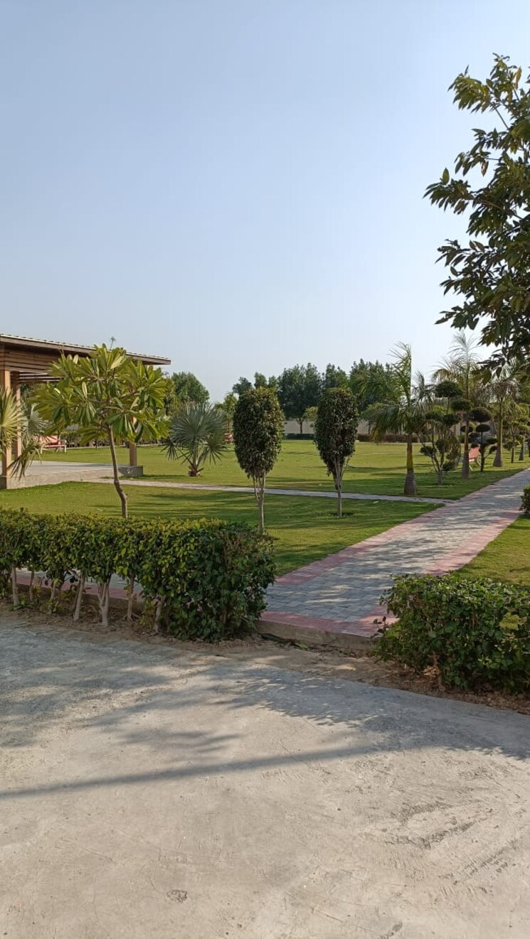 Garden, soha-neal-city  118 Sq.Yd. Plot In Sector 98 Faridabad 8170588
