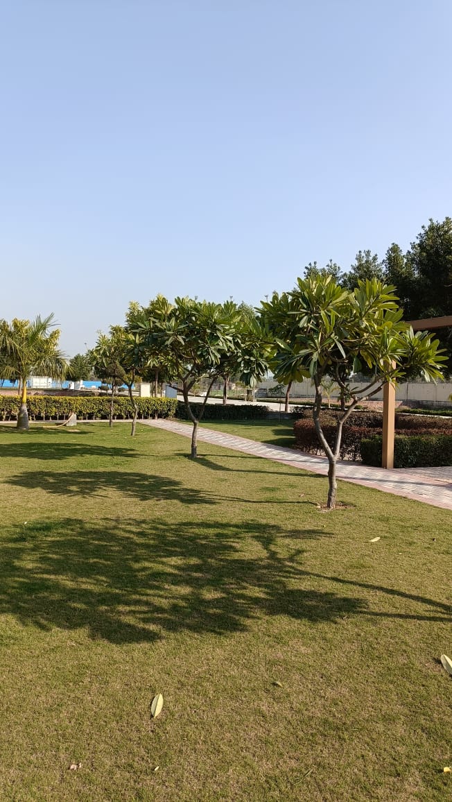 Plot For Sale in Soha Neal City