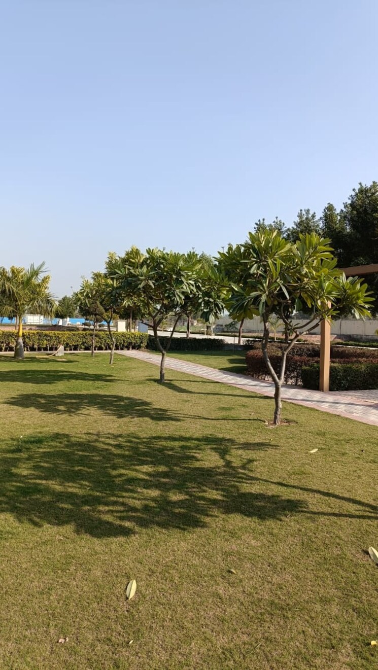 undefined, soha-neal-city  136 Sq.Yd. Plot In Sector 98 Faridabad 8170602