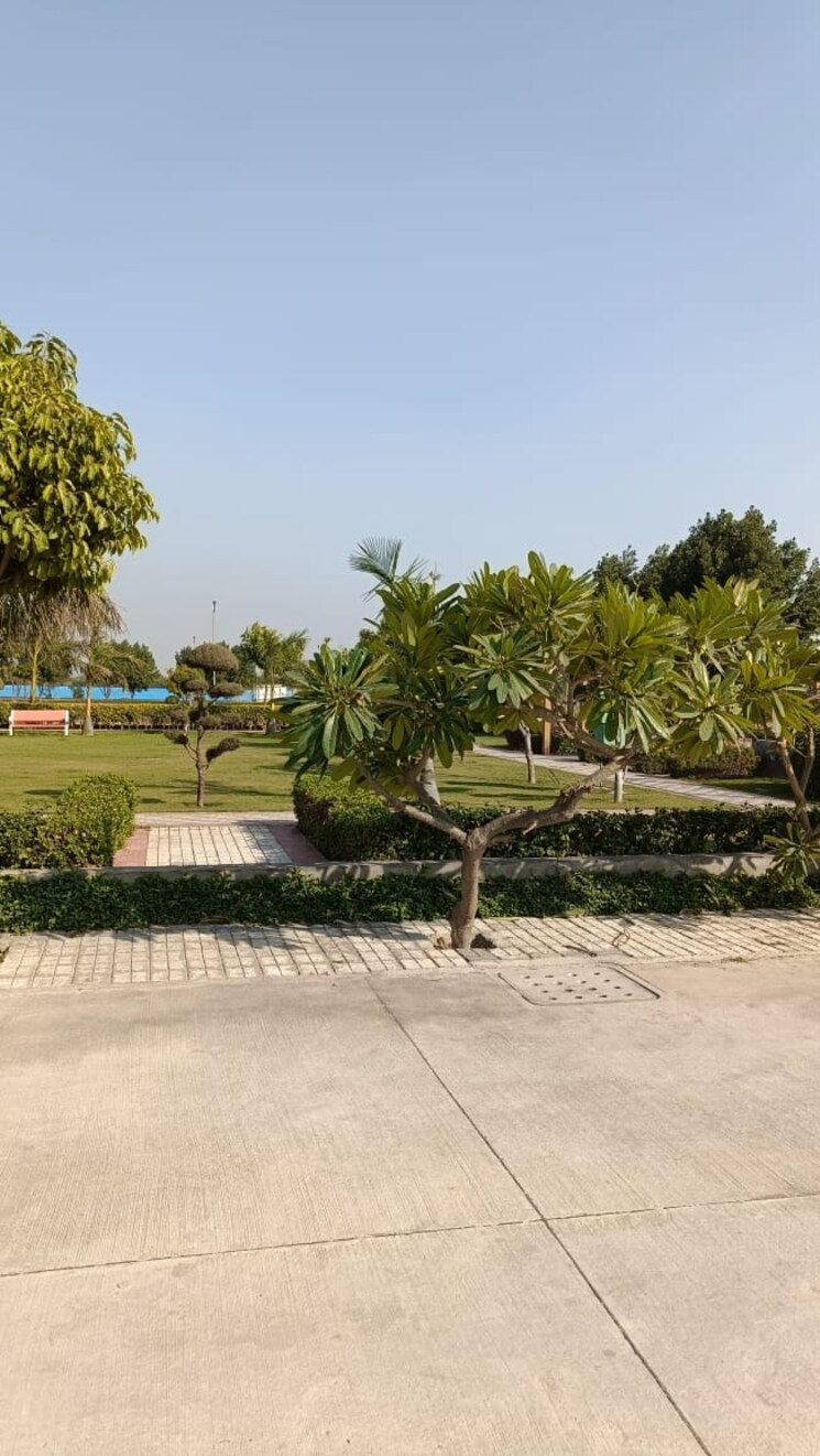 Exterior View, soha-neal-city  165 Sq.Yd. Plot In Sector 98 Faridabad 8170621