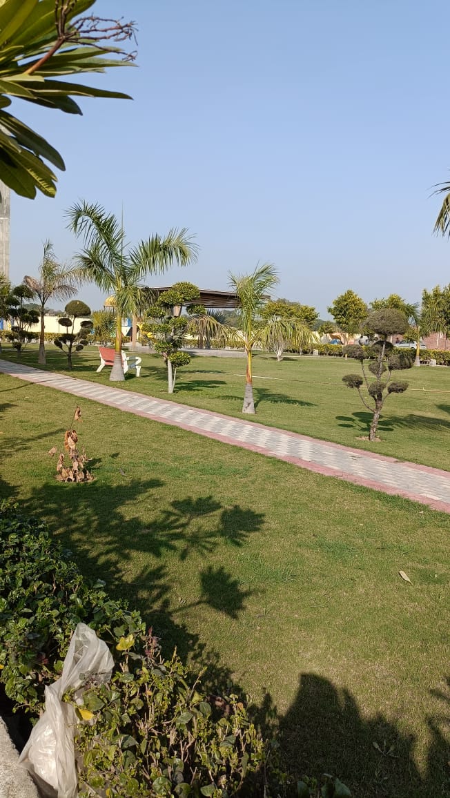 Plot For Sale in Soha Neal City