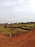 800 Sq.Ft. Plot in Om City