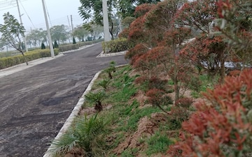 Plot For Sale in Ujjain Road