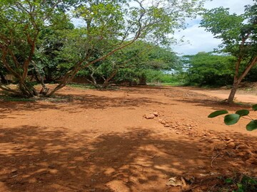 Plot Area in  Plot at Sarjapur – for Sale