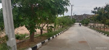 Plot Area in  Plot at Veltur – for Sale
