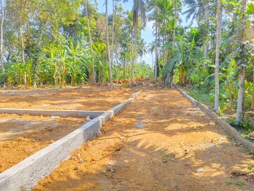 Plot For Resale in Kulasekharam Thiruvananthapuram  8171663