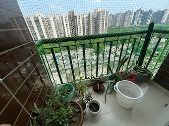 3 BHK Apartment For Resale in Amrapali Zodiac Sector 120 Noida  8171874