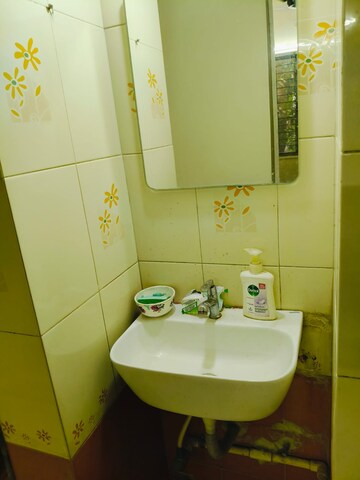 Bathroom in 1 BHK Apartment at Lokpuram CHS, Vasant Vihar – for Rent