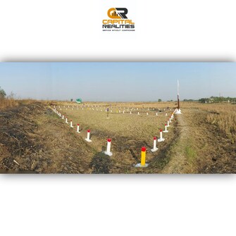 Plot For Resale in Navi Mumbai Plots Uran Navi Mumbai  8172168