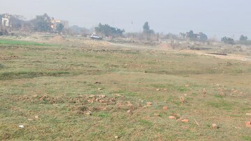 Plot Area in  Plot at Sector 151 – for Sale