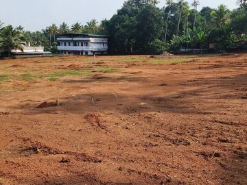 Plot For Resale in Irinjalakuda Thrissur  8172251