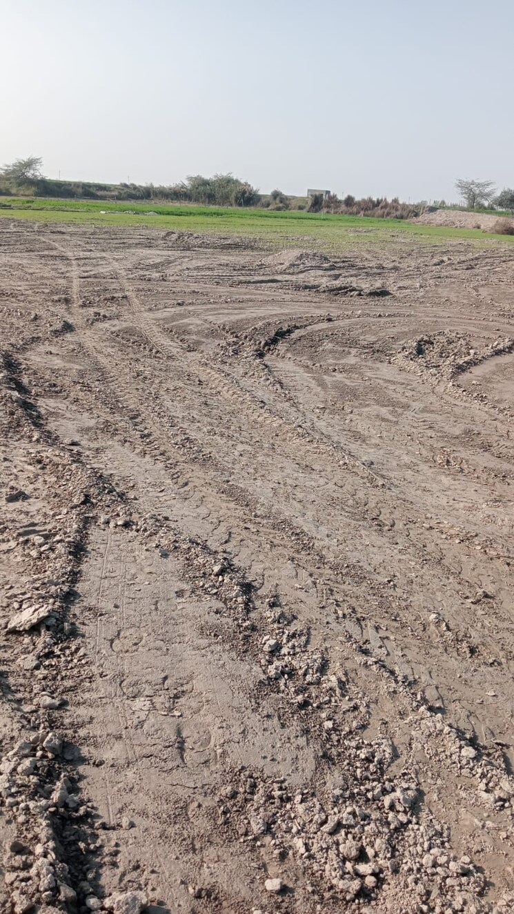 undefined, pgs-florence  80 Sq.Yd. Plot In Sector 87 Noida 8172474