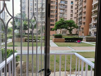 2 BHK Apartment For Rent in Pioneer Park Phase 1 Sector 61 Gurgaon  8172563