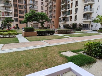 2 BHK Apartment For Rent in Pioneer Park Phase 1 Sector 61 Gurgaon  8172563