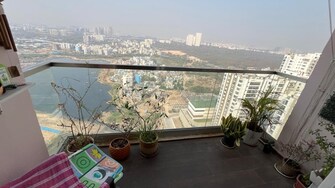 2 BHK Apartment For Rent in Marina Skies Hi Tech City Hyderabad  8172575