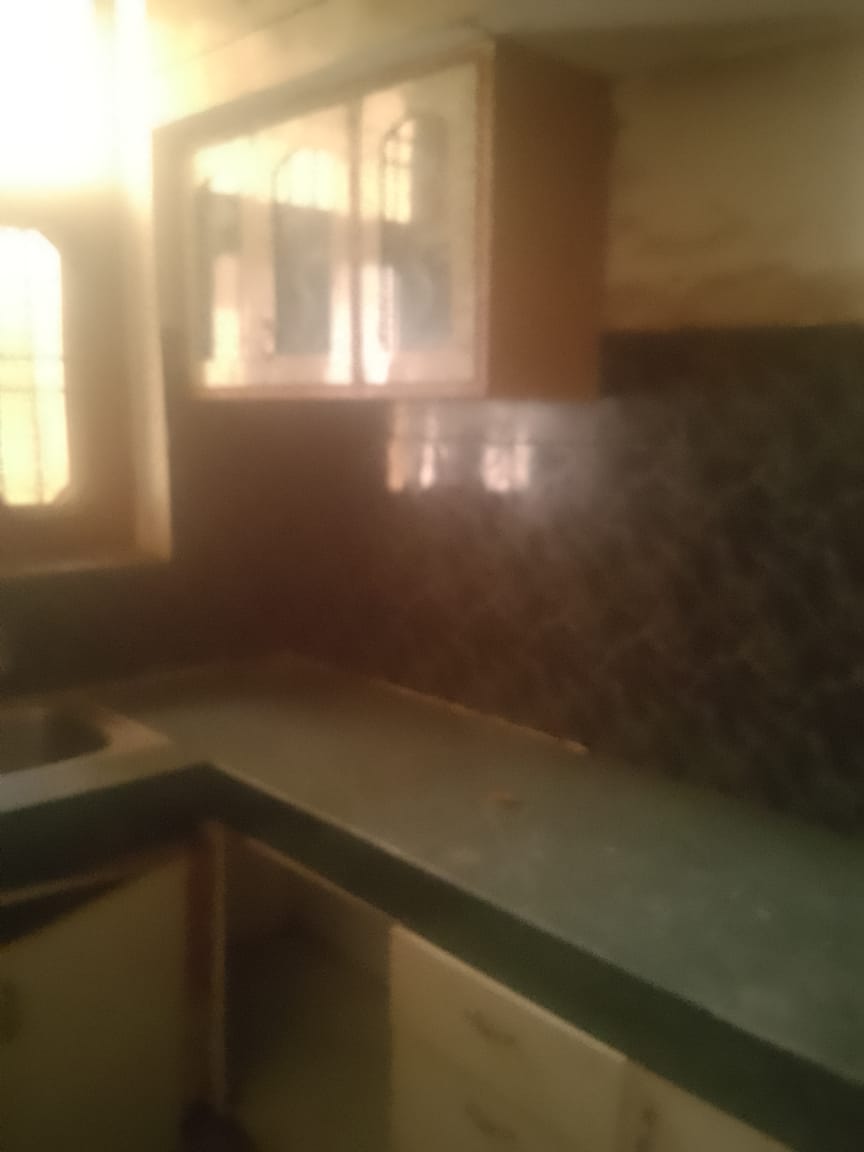 3 BHK + Pooja Room,Servant Room,Study Room Builder Floor For Sale in US Pine Homes